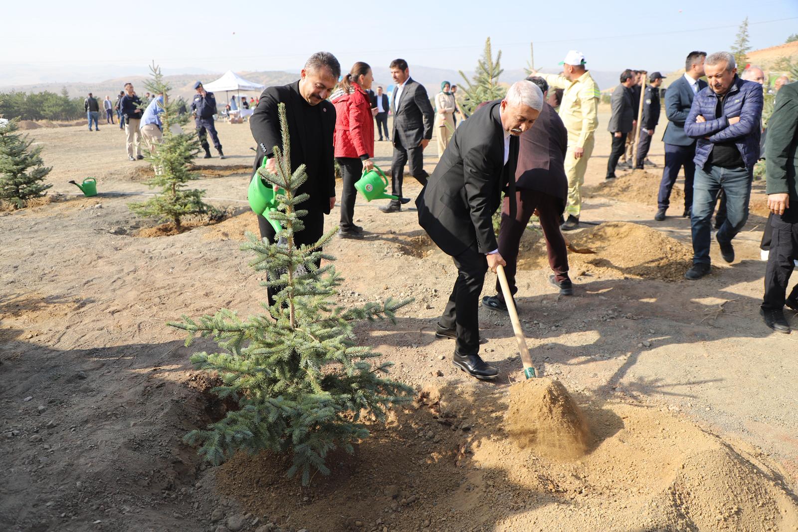 agaclandirma-gunu-kapsaminda-ilcemizi-yeni-fidanlarla-bulusturduk