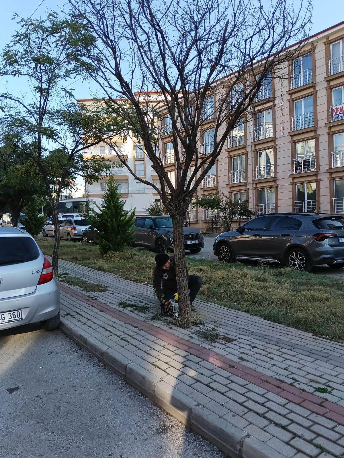 yesil-alanlarimizda-bakim-ve-peyzaj-calismalari-devam-ediyor