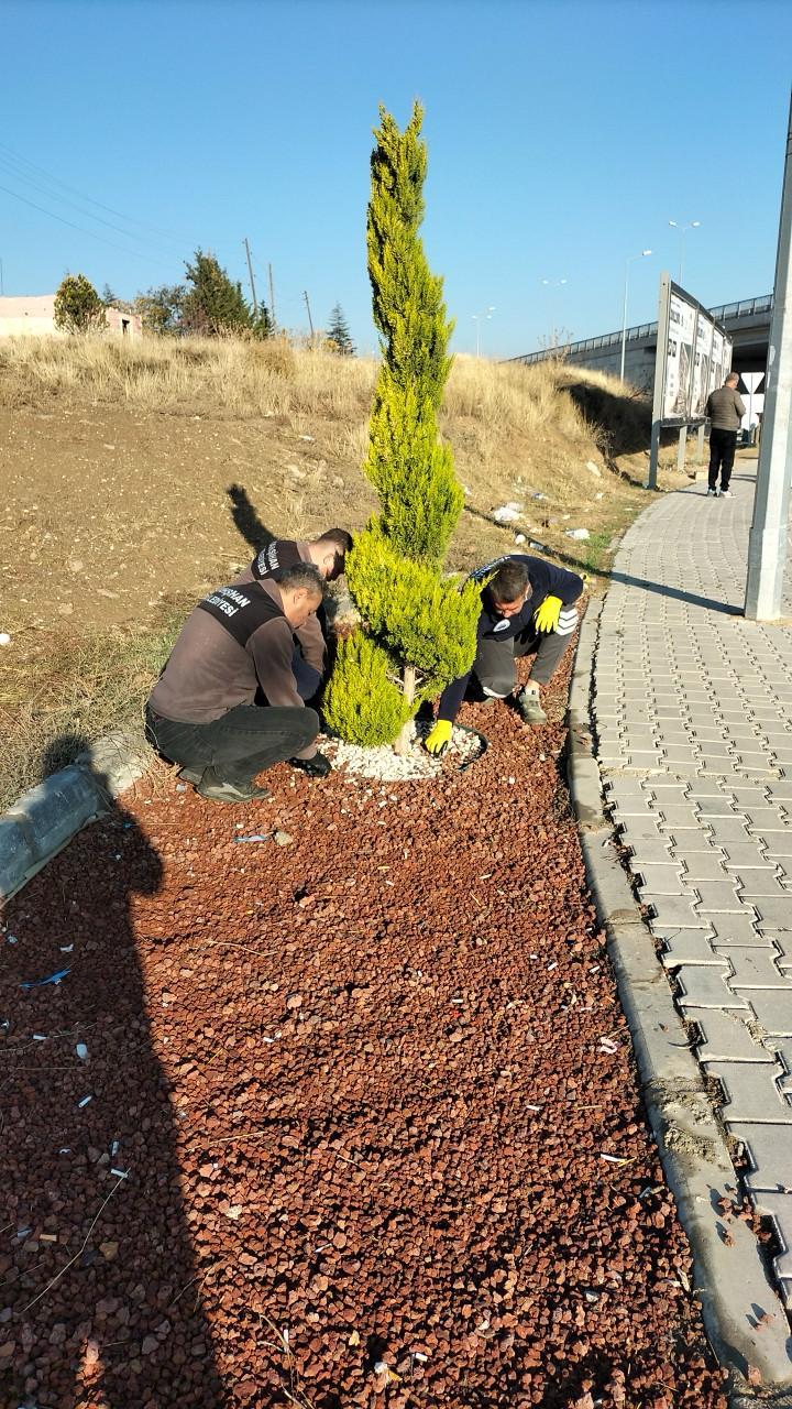 yesil-alanlarimizda-bakim-ve-peyzaj-calismalari-devam-ediyor